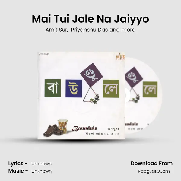 Mai Tui Jole Na Jaiyyo MP3 Song by Amit Sur Cover