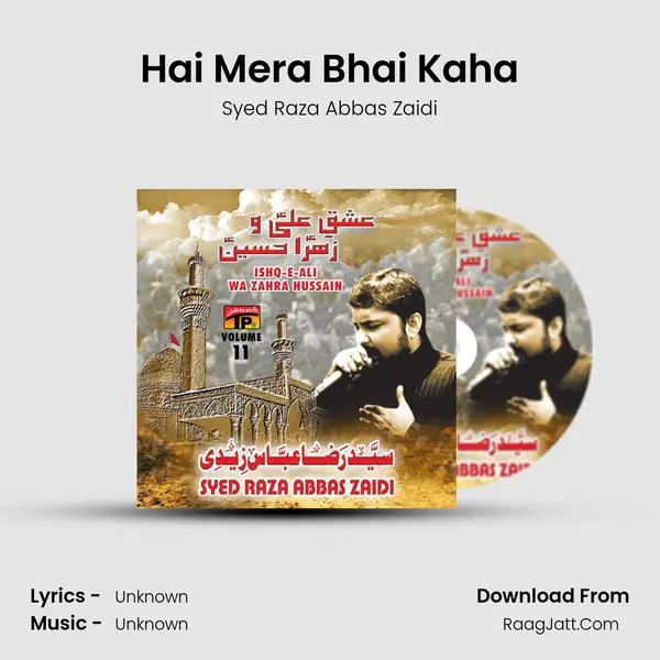 Hai Mera Bhai Kaha MP3 Song by Syed Raza Abbas Zaidi Cover