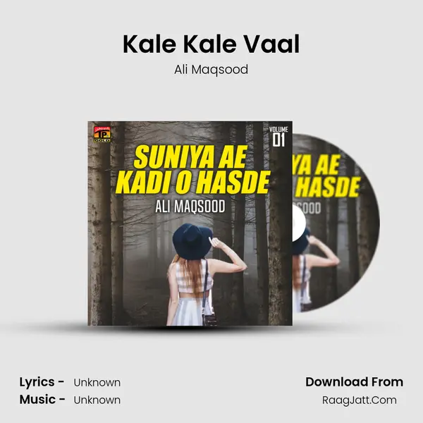 Kale Kale Vaal MP3 Song by Ali Maqsood Cover