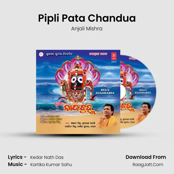 Pipli Pata Chandua MP3 Song by Anjali Mishra Cover