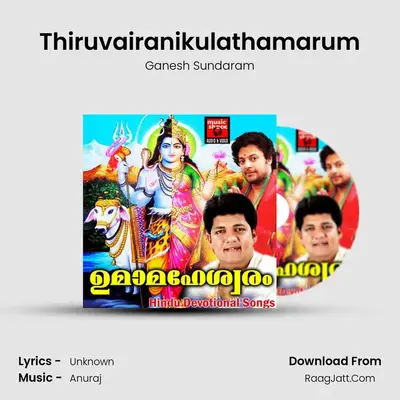 Thiruvairanikulathamarum MP3 Song by Ganesh Sundaram Cover