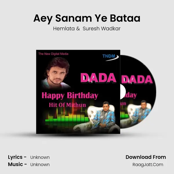 Aey Sanam Ye Bataa MP3 Song by Hemlata Cover