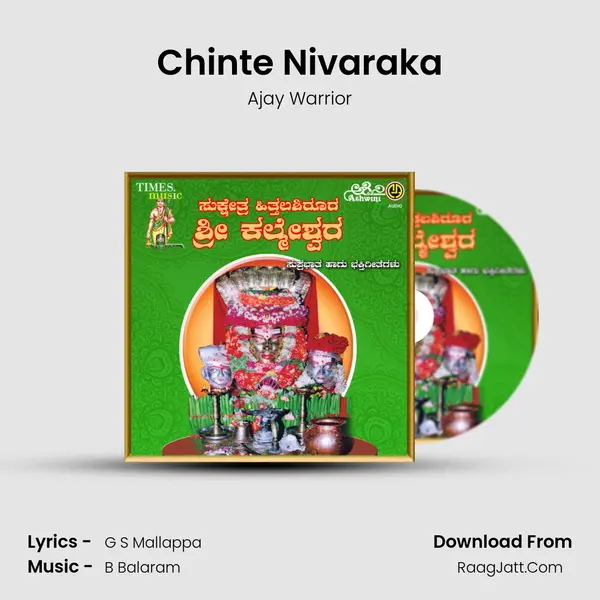 Chinte Nivaraka MP3 Song by Ajay Warrior Cover