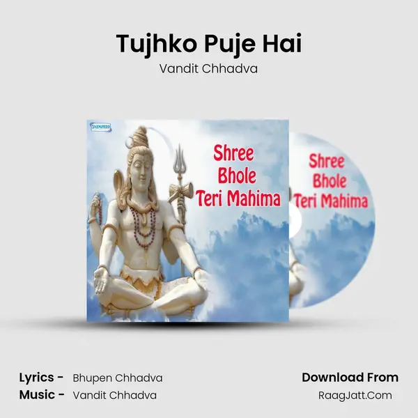 Tujhko Puje Hai MP3 Song by Vandit Chhadva Cover