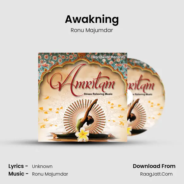 Awakning MP3 Song by Ronu Majumdar Cover