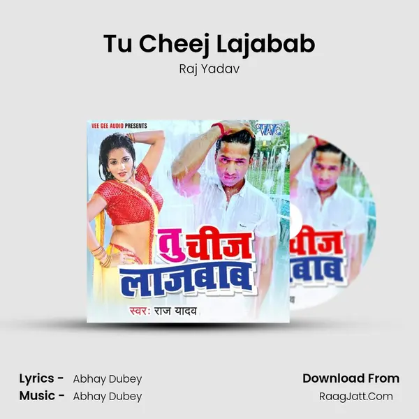 Tu Cheej Lajabab - Raj Yadav