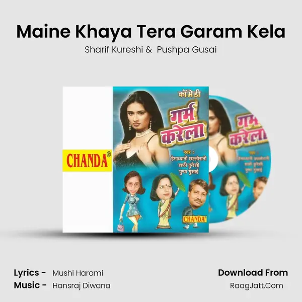 Maine Khaya Tera Garam Kela MP3 Song by Sharif Kureshi Cover