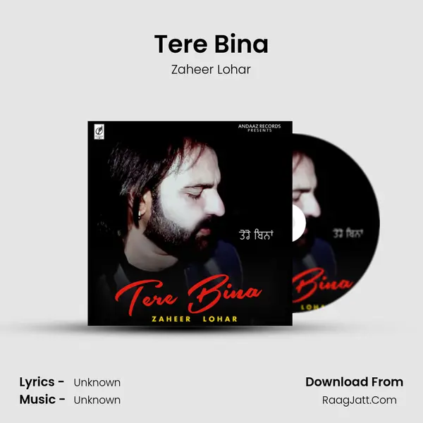 Tere Bina - Single - Zaheer Lohar