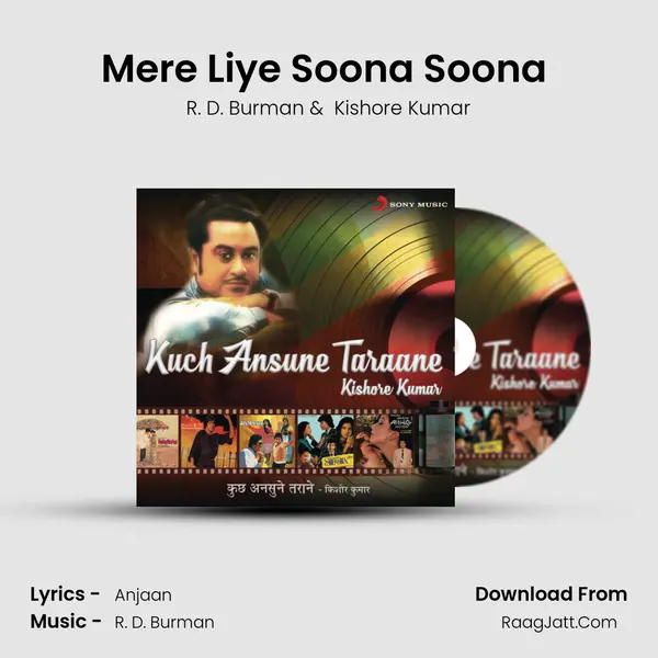 Mere Liye Soona Soona (From "Anand Aur Anand") Cover