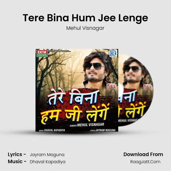 Tere Bina Hum Jee Lenge MP3 Song by Mehul Visnagar Cover