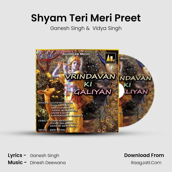 Shyam Teri Meri Preet MP3 Song by Ganesh Singh Cover