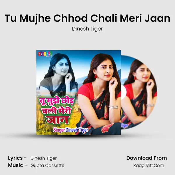 Tu Mujhe Chhod Chali Meri Jaan MP3 Song by Dinesh Tiger Cover