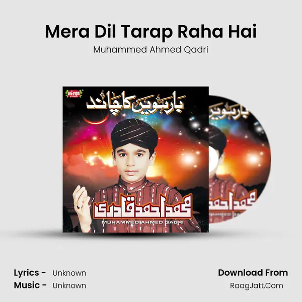 Mera Dil Tarap Raha Hai mp3 song