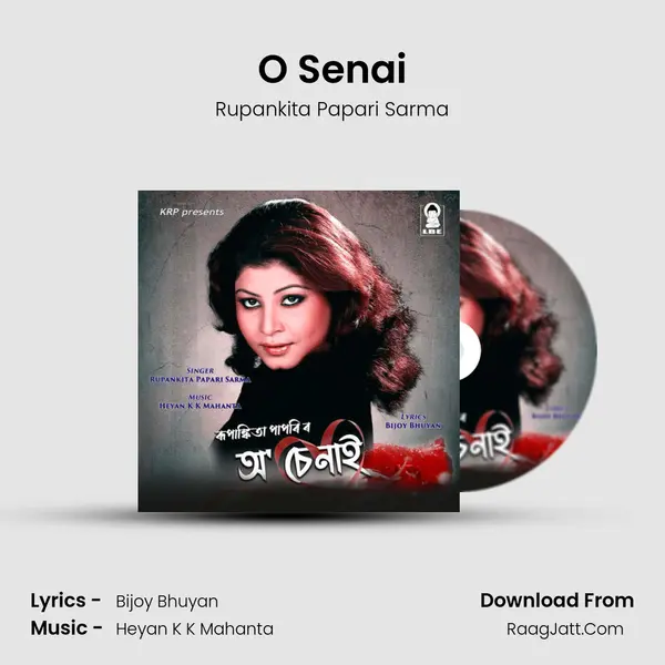 O Senai - 