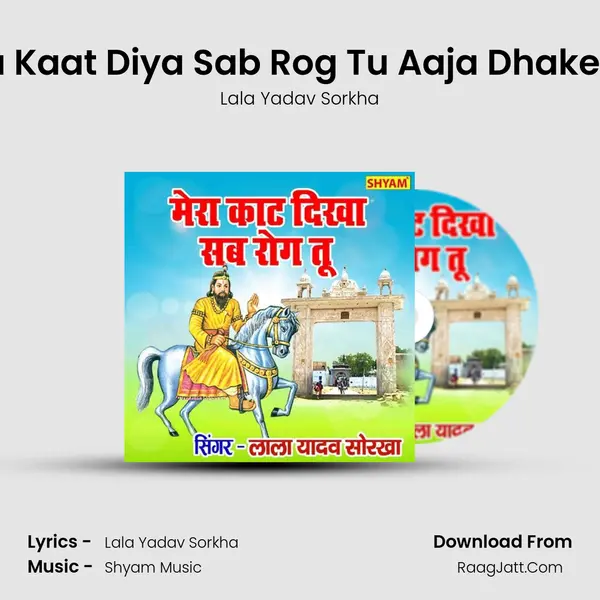 Mera Kaat Diya Sab Rog Tu Aaja Dhakewale MP3 Song by Lala Yadav Sorkha Cover