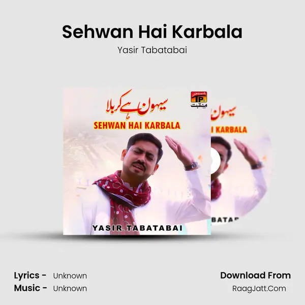 Sehwan Hai Karbala MP3 Song by Yasir Tabatabai Cover