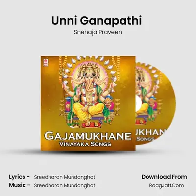 Unni Ganapathi (From "Narayana Manthram") Cover