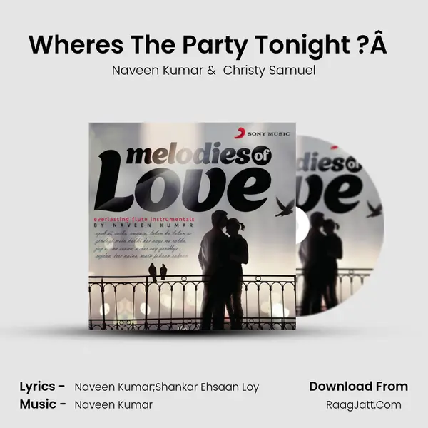 Where's The Party Tonight ?Â  (Instrumental) MP3 Song by Naveen Kumar Cover