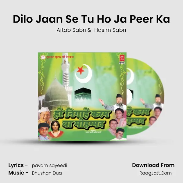 Dilo Jaan Se Tu Ho Ja Peer Ka MP3 Song by Aftab Sabri Cover