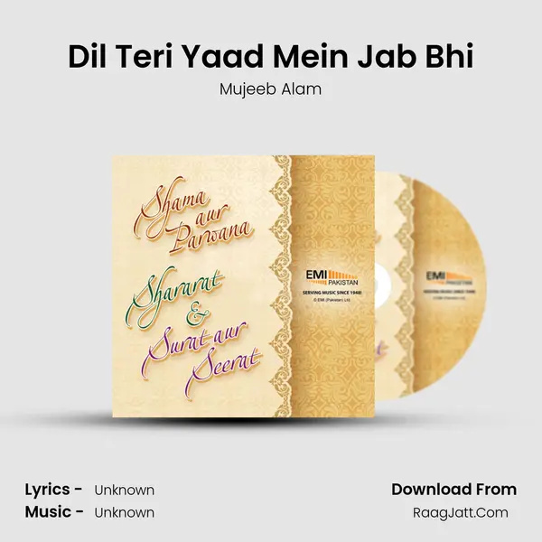 Dil Teri Yaad Mein Jab Bhi MP3 Song by Mujeeb Alam Cover