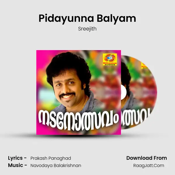 Pidayunna Balyam MP3 Song by Sreejith Cover