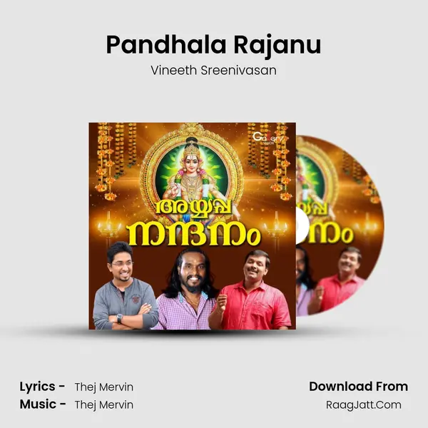 Pandhala Rajanu MP3 Song by Vineeth Sreenivasan Cover