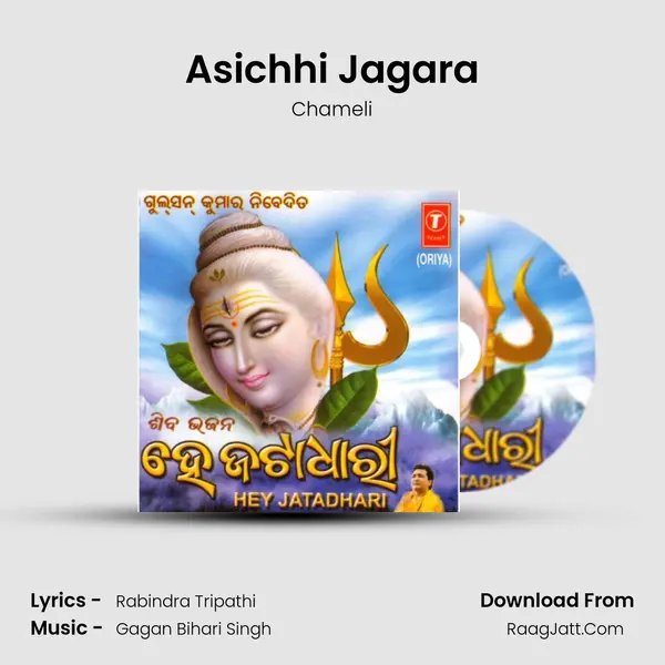 Asichhi Jagara MP3 Song by Chameli Cover