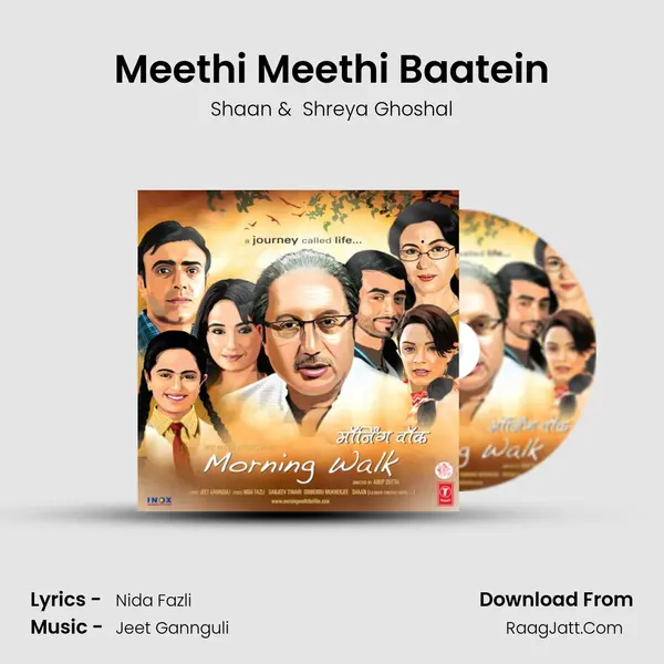 Meethi Meethi Baatein MP3 Song by Shaan Cover