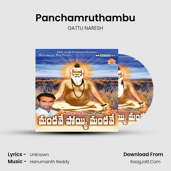 Panchamruthambu MP3 Song by GATTU NARESH Cover