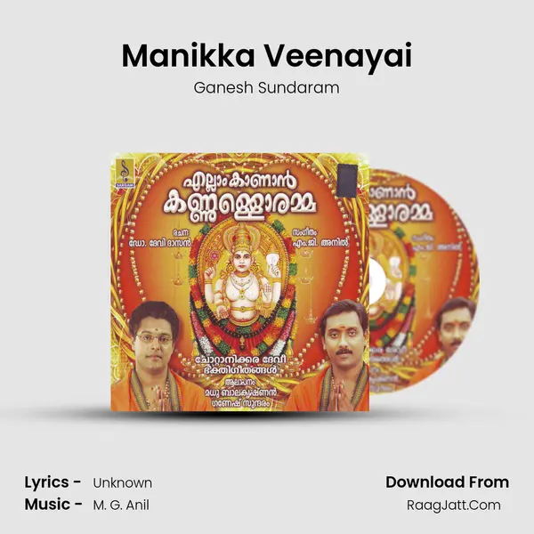 Manikka Veenayai Cover