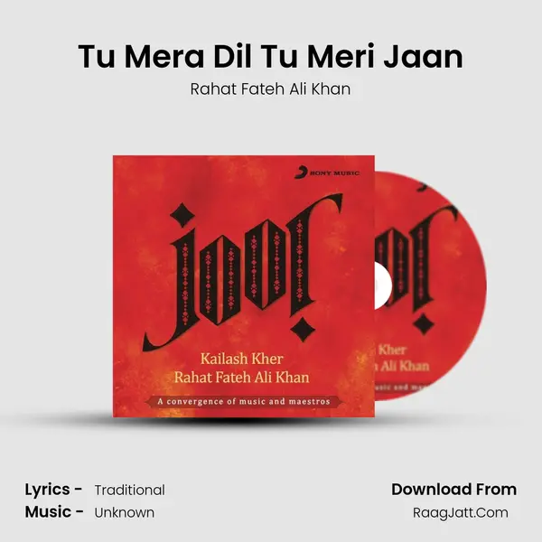Tu Mera Dil Tu Meri Jaan MP3 Song by Rahat Fateh Ali Khan Cover