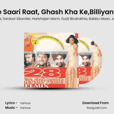 28 Non Stop Punjabi Remix - Various