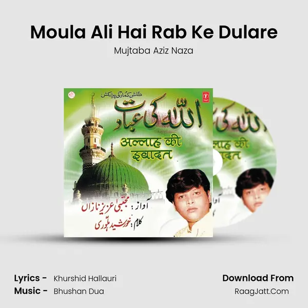 Moula Ali Hai Rab Ke Dulare MP3 Song by Mujtaba Aziz Naza Cover