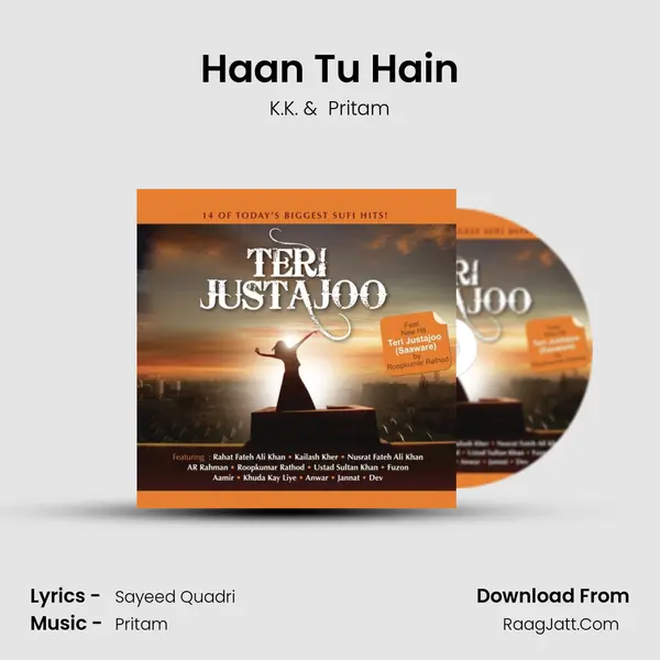 Haan Tu Hain Cover
