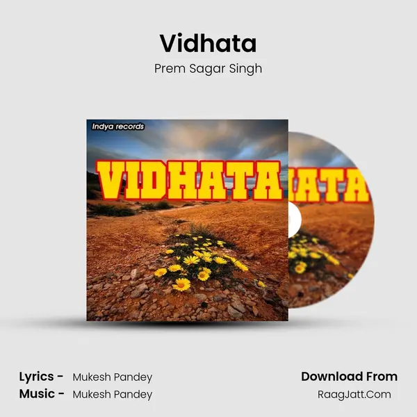 Vidhata MP3 Song by Prem Sagar Singh Cover