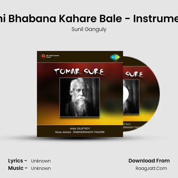 Sakhi Bhabana Kahare Bale - Instrumental MP3 Song by Sunil Ganguly Cover