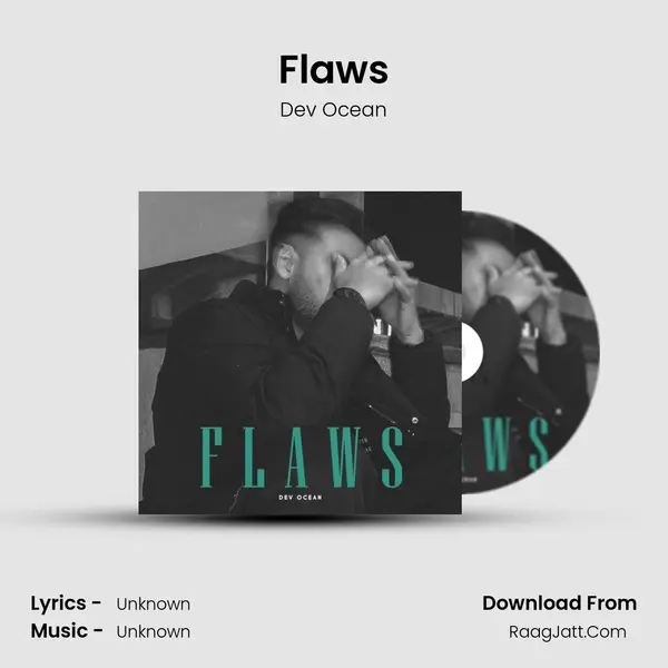 Flaws mp3 song