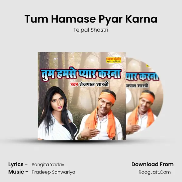 Tum Hamase Pyar Karna mp3 song