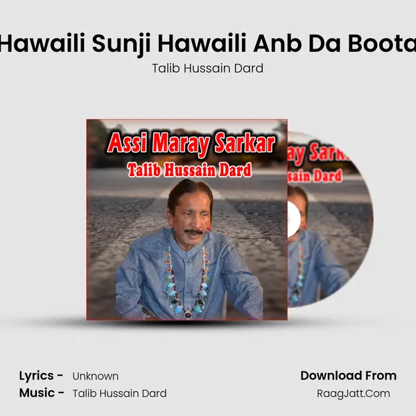 Hawaili Sunji Hawaili Anb Da Boota MP3 Song by Talib Hussain Dard Cover