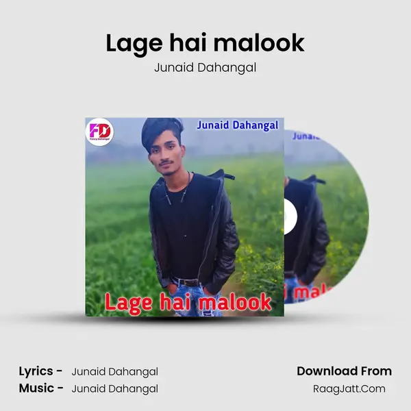 Lage hai malook MP3 Song by Junaid Dahangal Cover