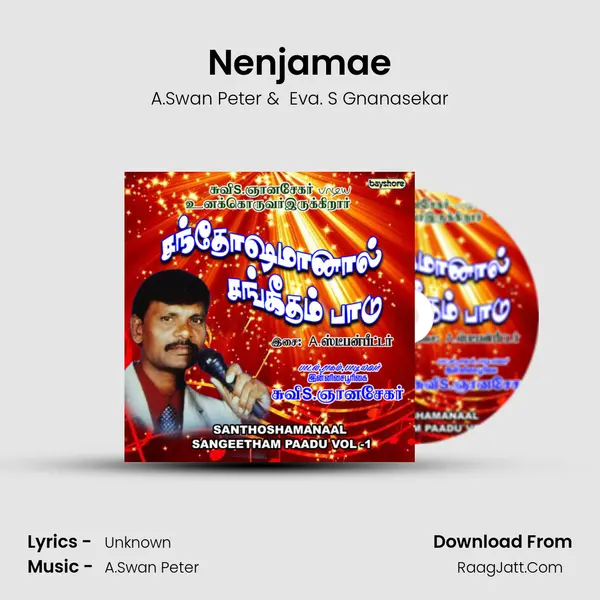 Nenjamae MP3 Song by A.Swan Peter Cover