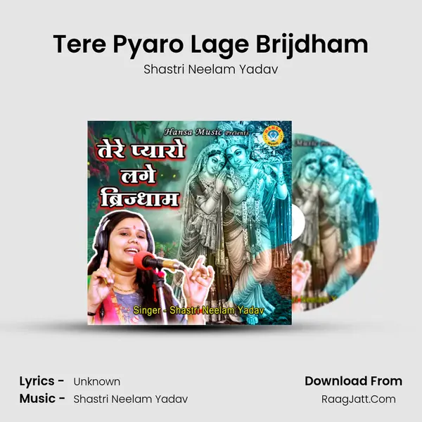 Tere Pyaro Lage Brijdham mp3 song