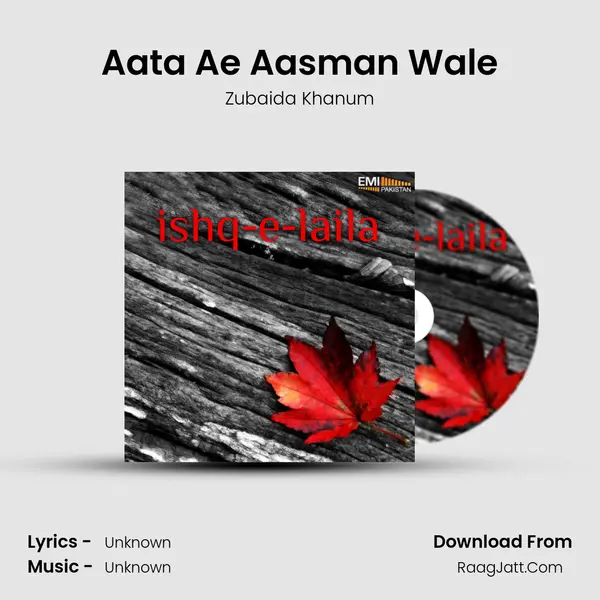 Aata Ae Aasman Wale MP3 Song by Zubaida Khanum Cover