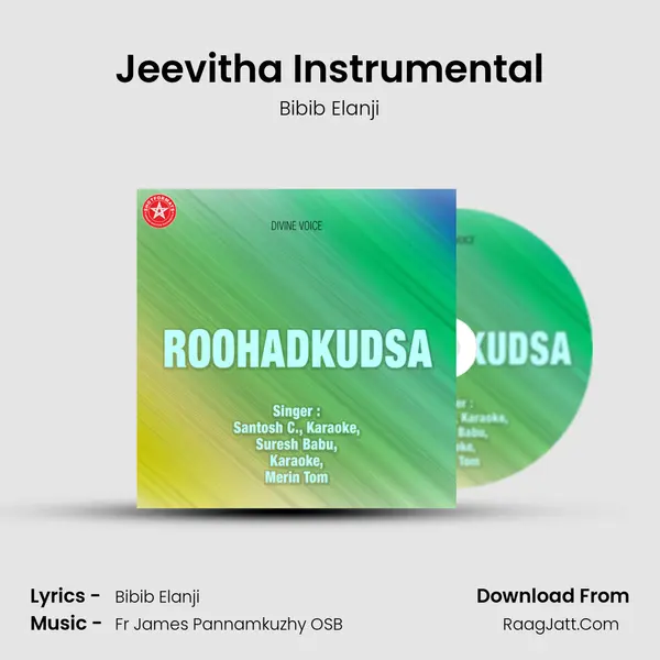 Jeevitha Instrumental MP3 Song by Bibib Elanji Cover
