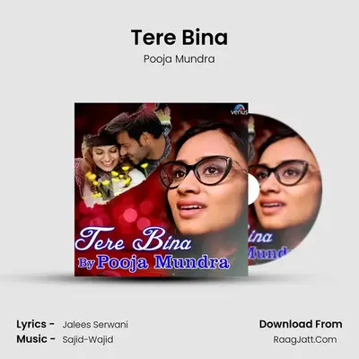 Tere Bina mp3 song