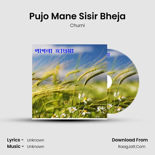 Pujo Mane Sisir Bheja mp3 song