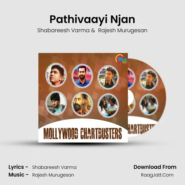 Pathivaayi Njan Cover
