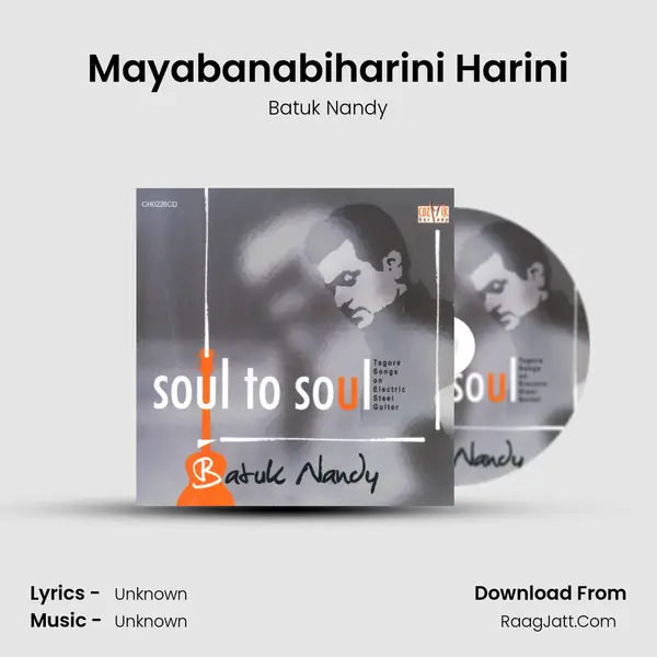 Mayabanabiharini Harini MP3 Song by Batuk Nandy Cover