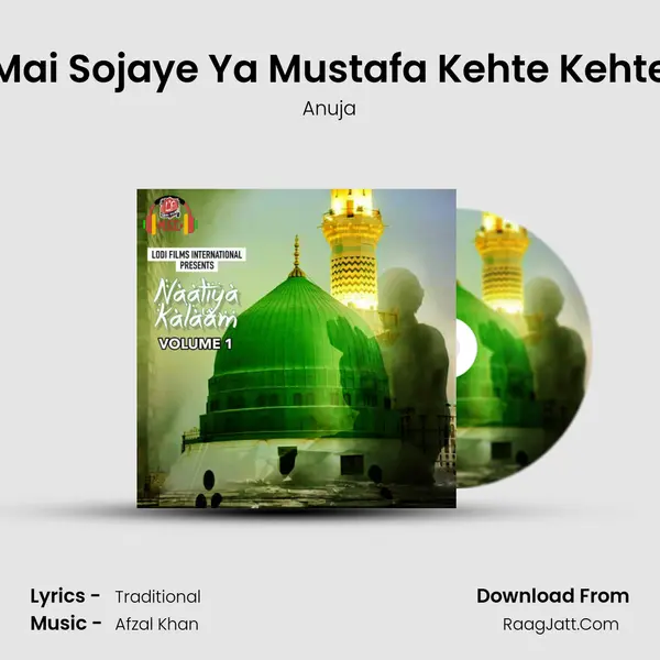 Mai Sojaye Ya Mustafa Kehte Kehte MP3 Song by Anuja Cover