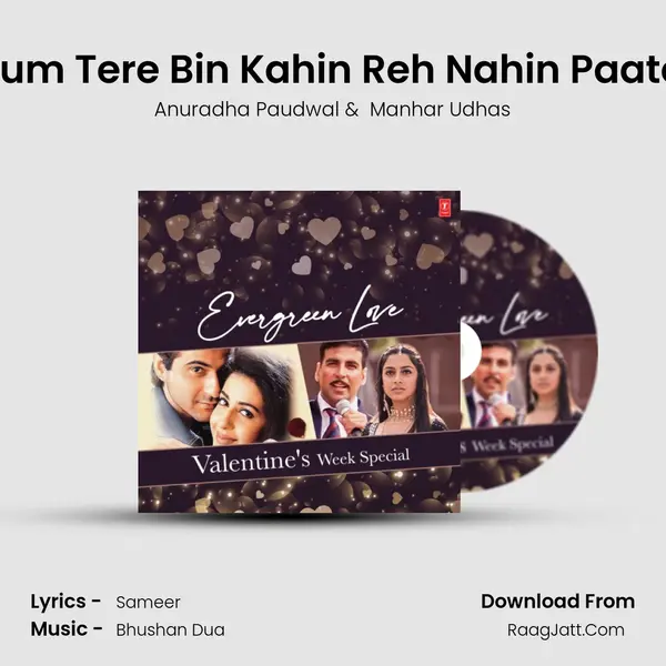 Hum Tere Bin Kahin Reh Nahin Paate (From Sadak) mp3 song